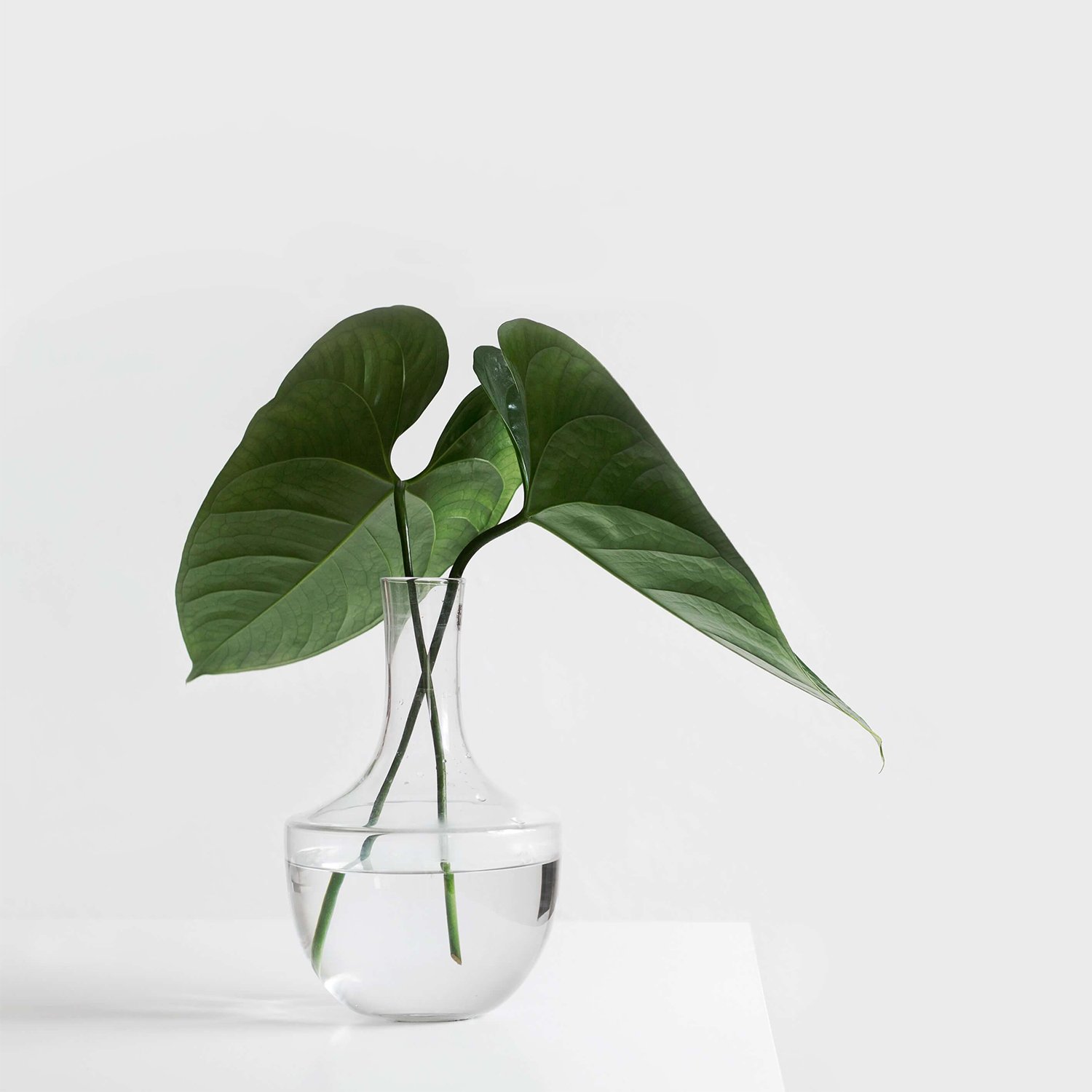 single_project_eight